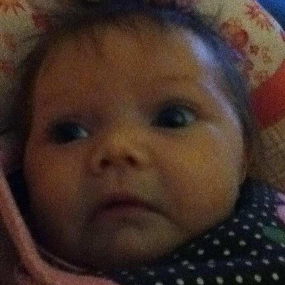 Meet your Posher, Cody